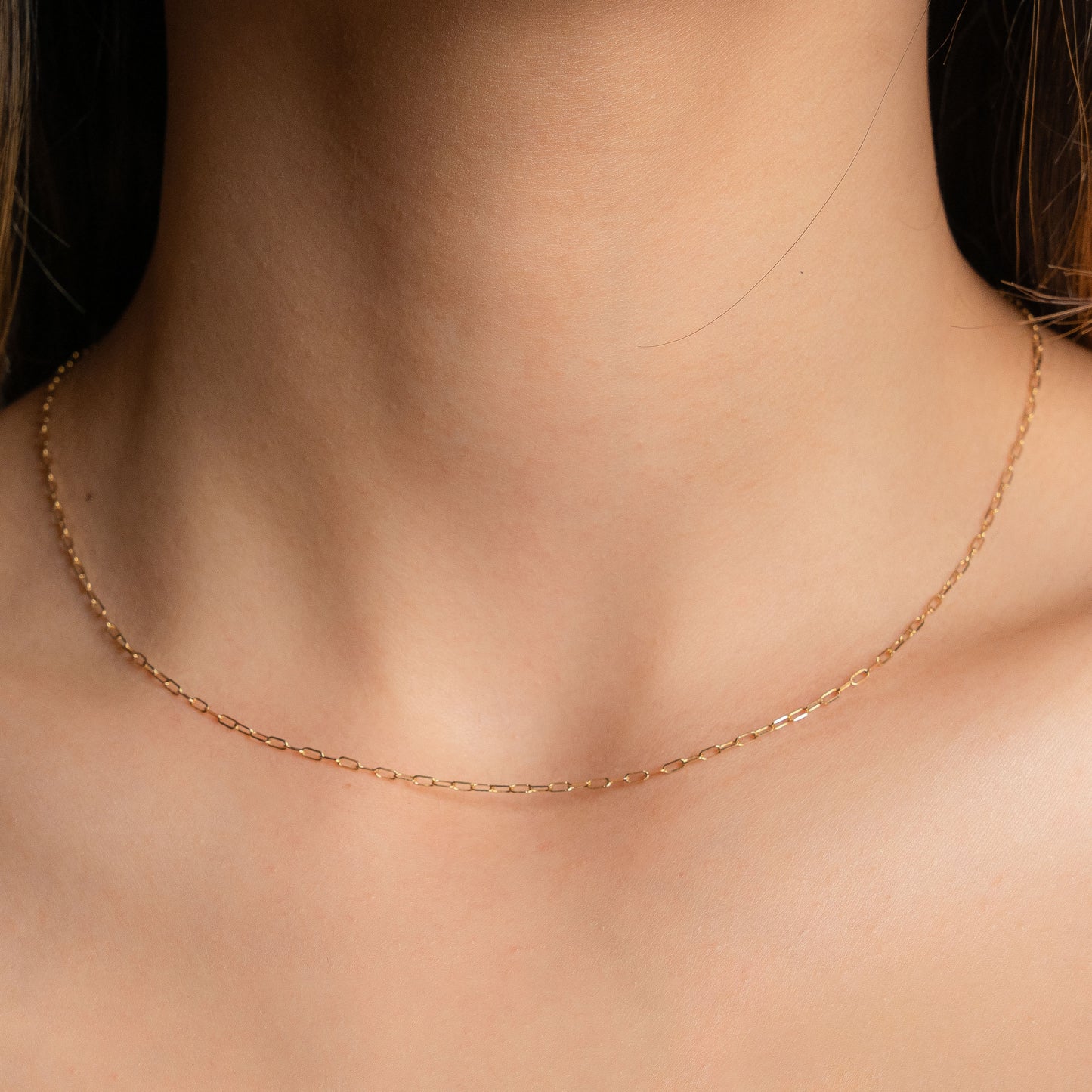 Petite Paperclip Gold Chain Necklace