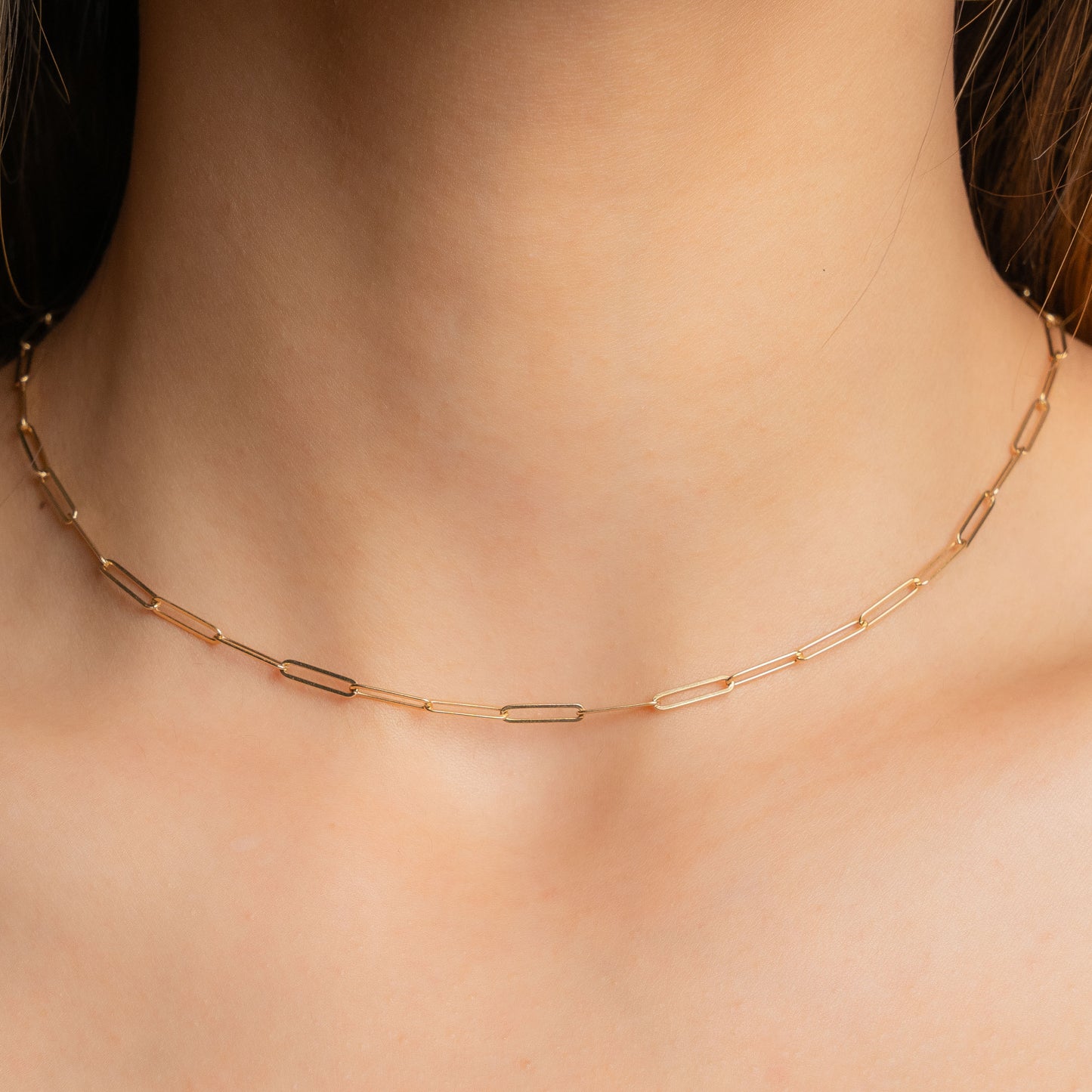Paperclip Necklace