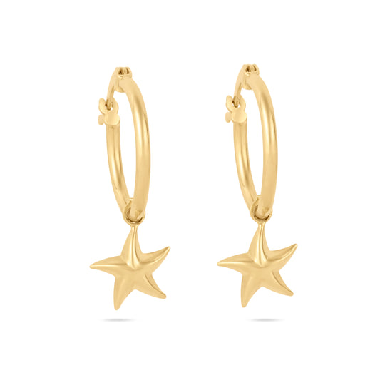 Star Hoops Earrings